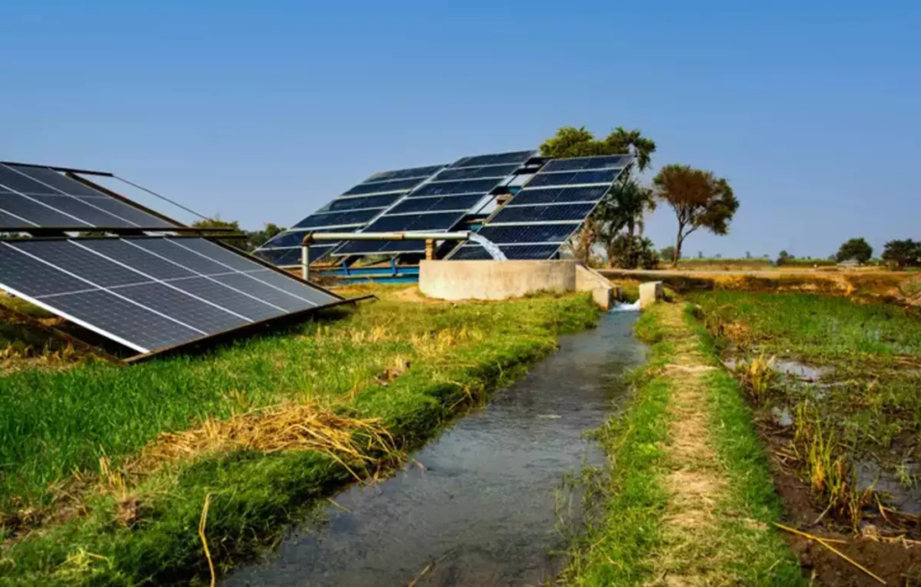 Solar pump near farm irrigation site